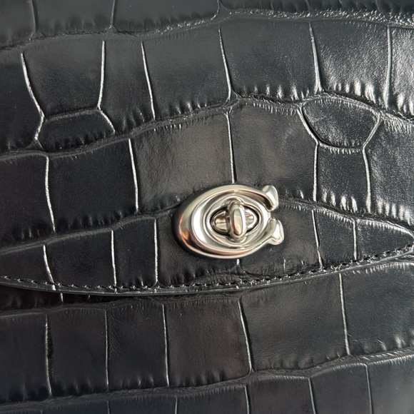 Coach Embossed Croc Leather Cassie Crossbody 19 Black with silver hardware NWT - Picture 15 of 17
